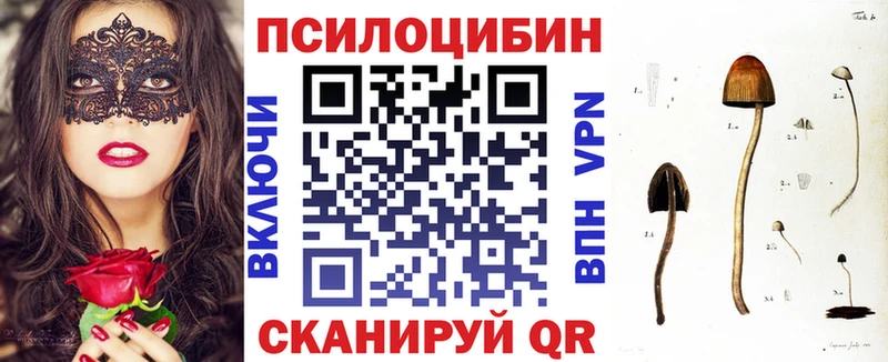 гидра вход  Катав-Ивановск  Галлюциногенные грибы Cubensis 